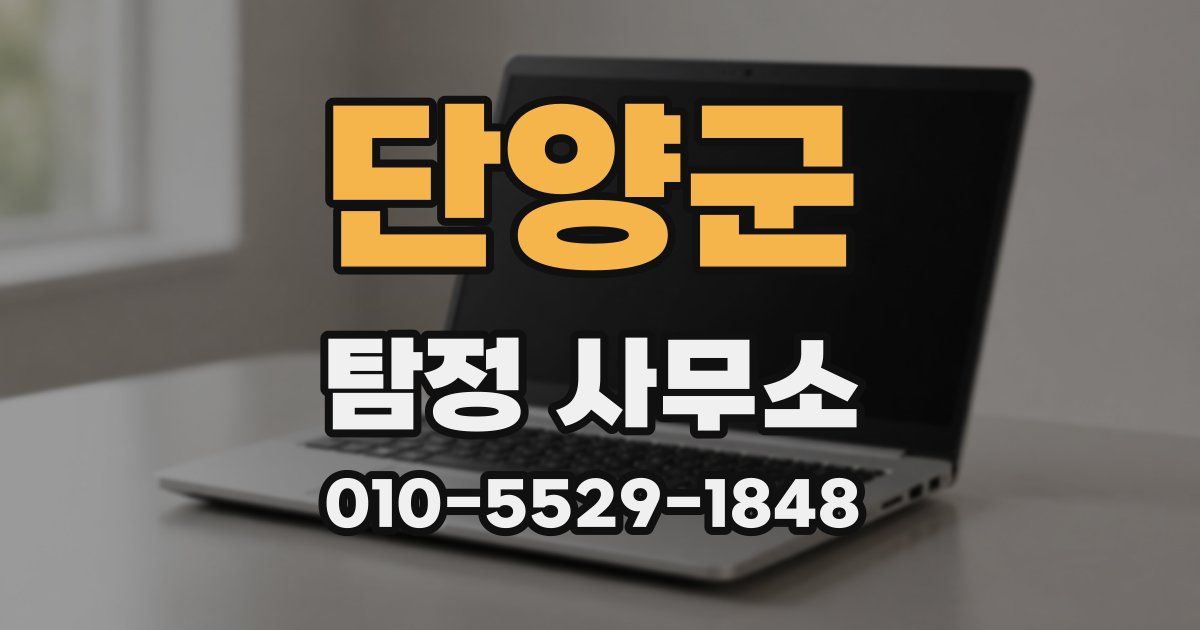 단양군 탐정 사무소