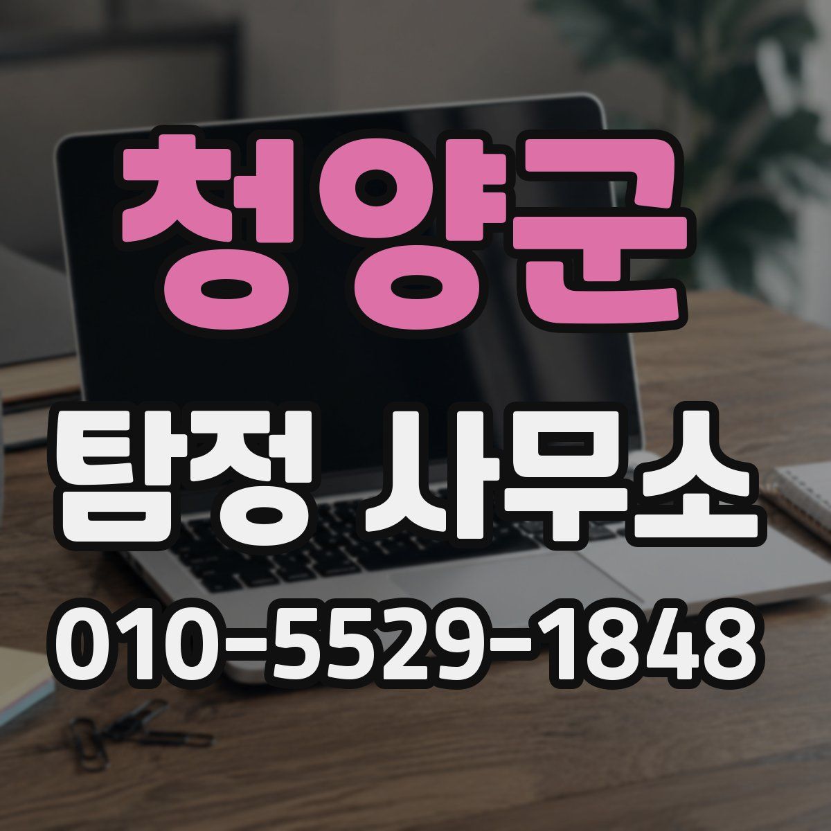 청양군 탐정 사무소