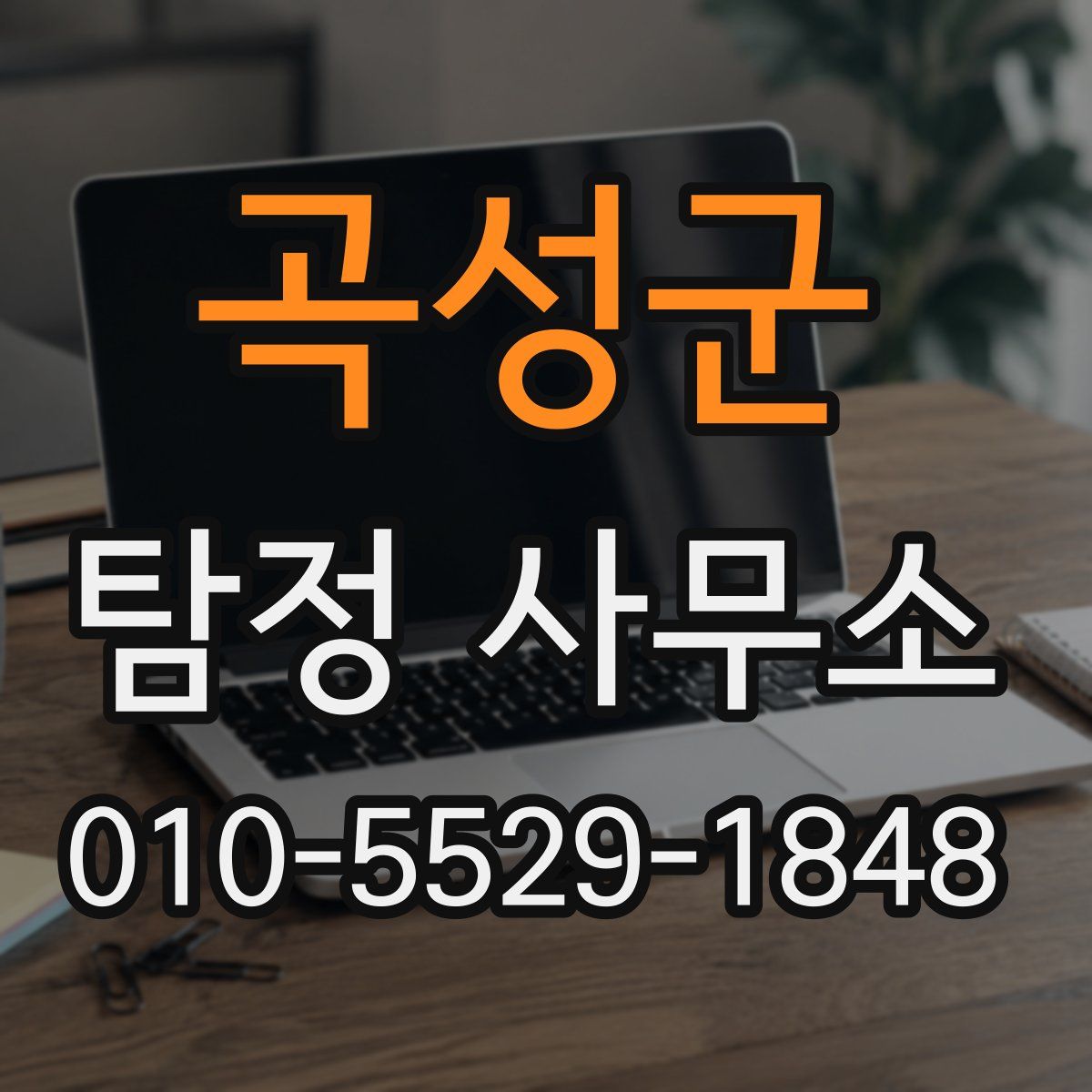 곡성군 탐정 사무소