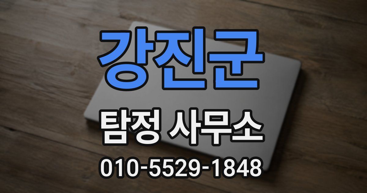 강진군 탐정 사무소