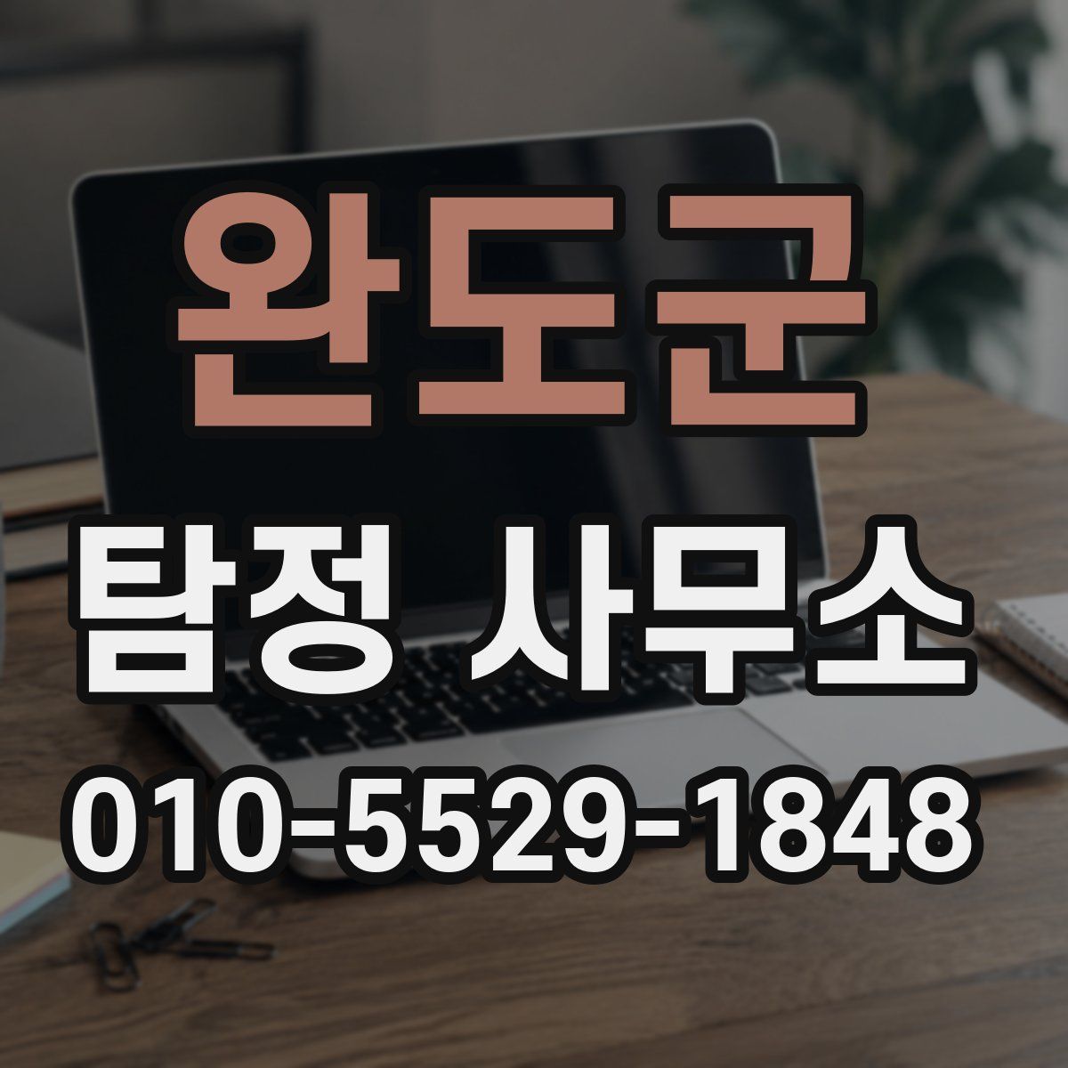 완도군 탐정 사무소