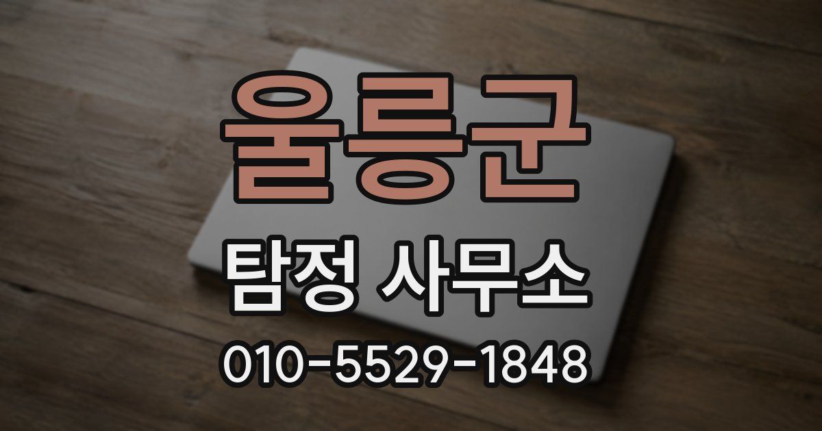 울릉군 탐정 사무소