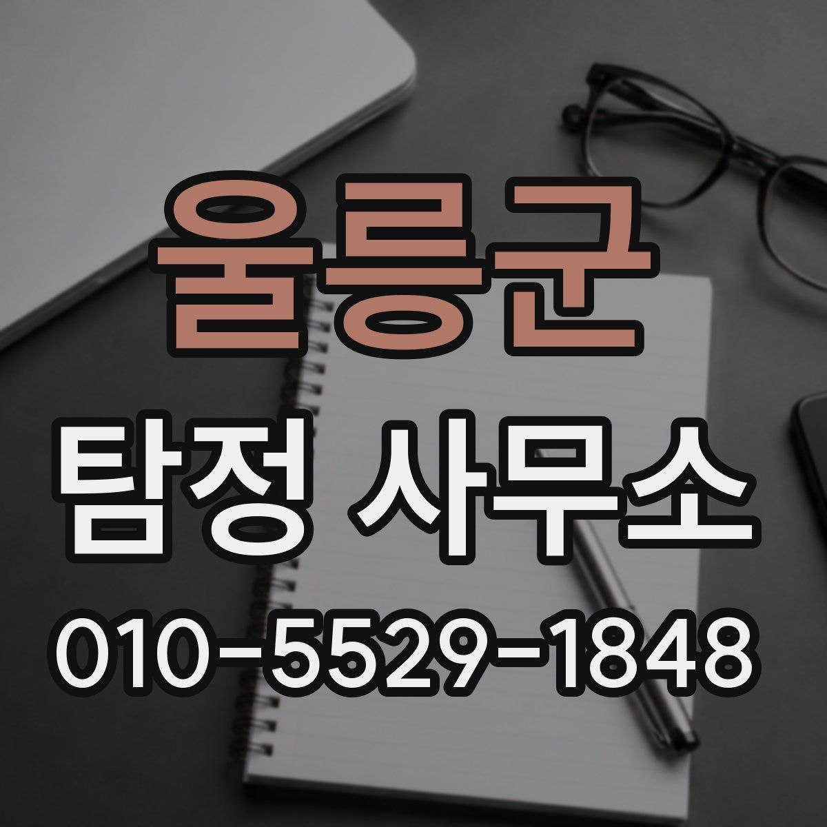 울릉군 탐정 사무소