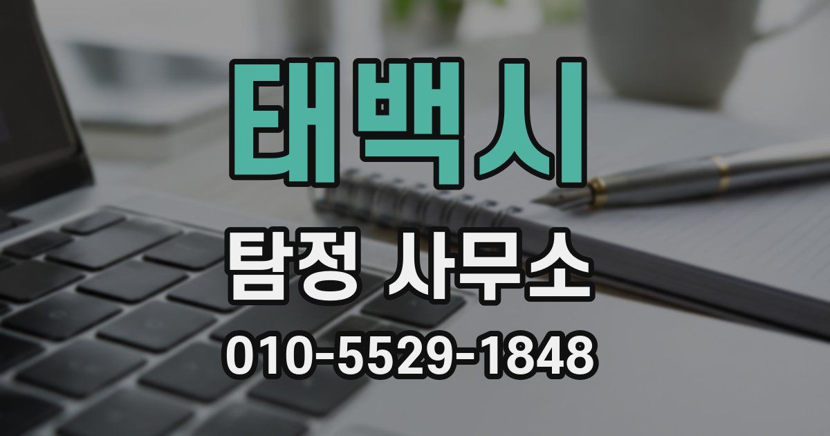 태백시 탐정 사무소