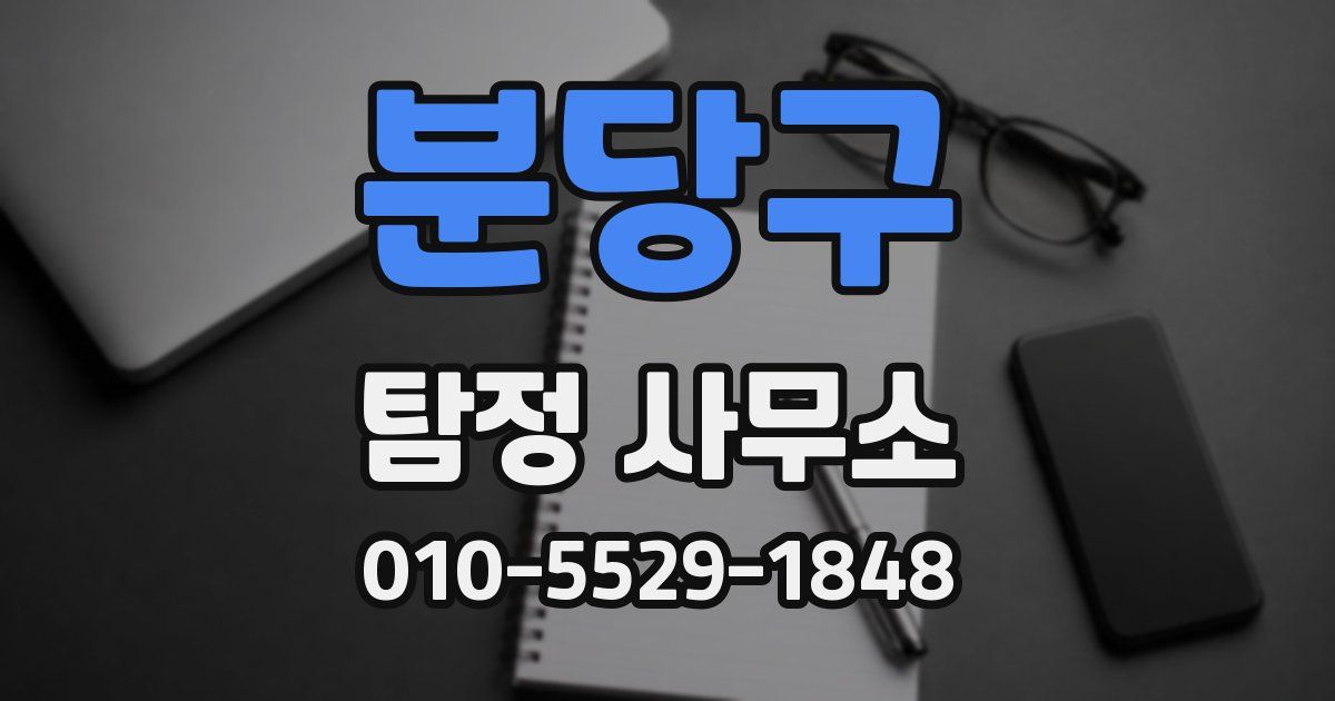 분당구 탐정 사무소