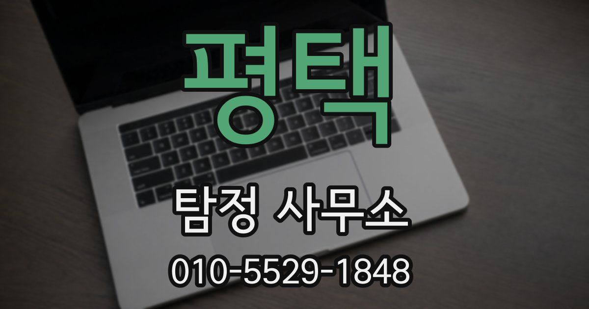 평택 탐정 사무소