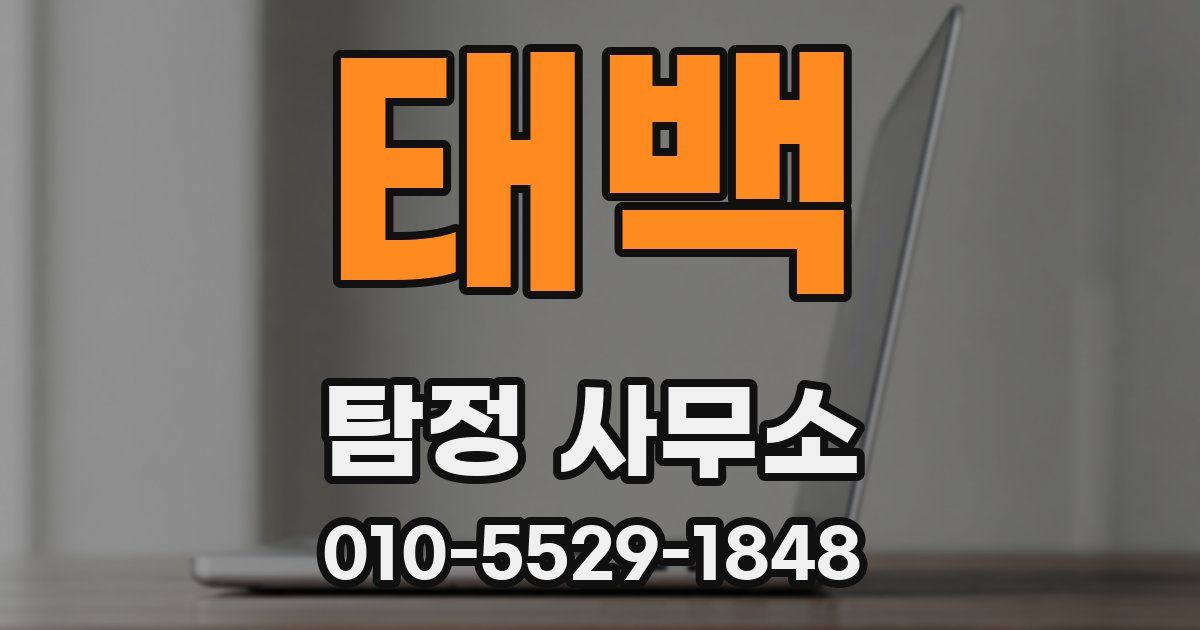 태백 탐정 사무소