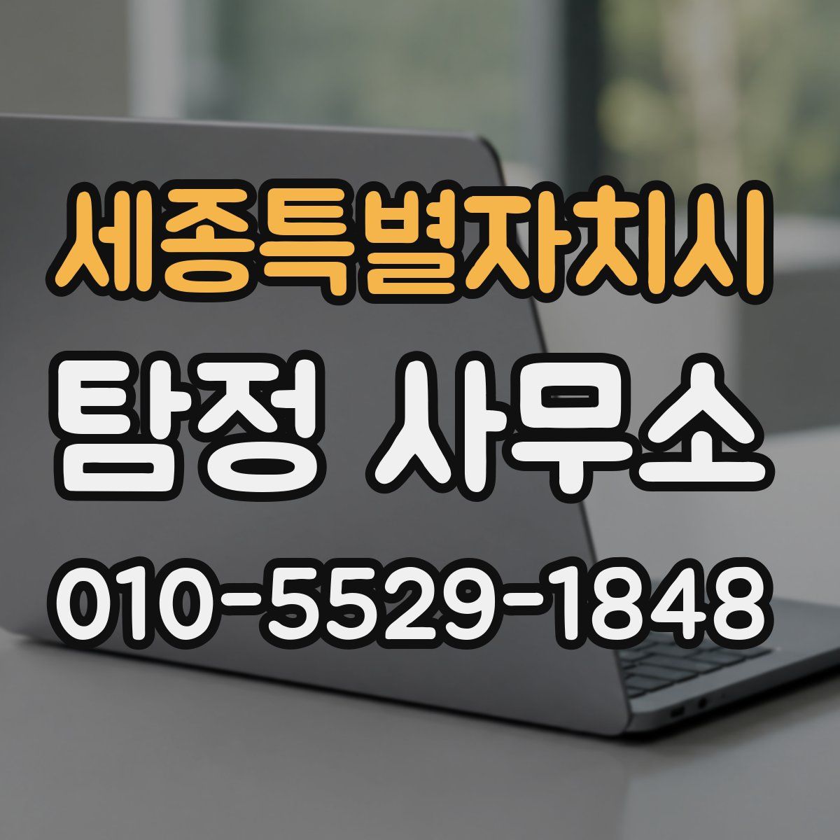 세종특별자치시 탐정 사무소