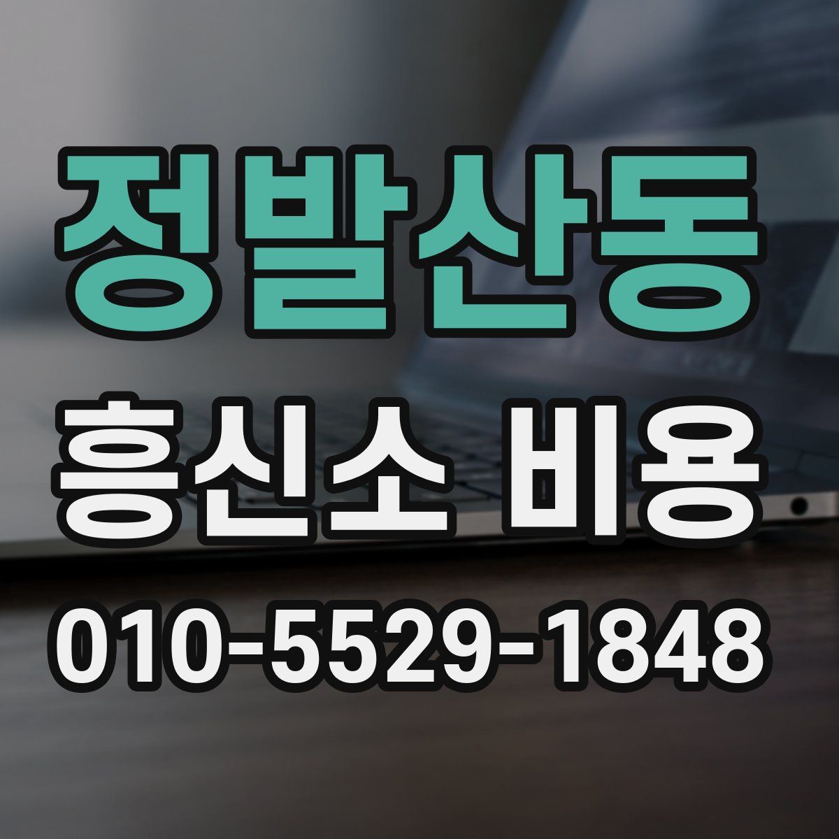 정발산동 흥신소 비용
