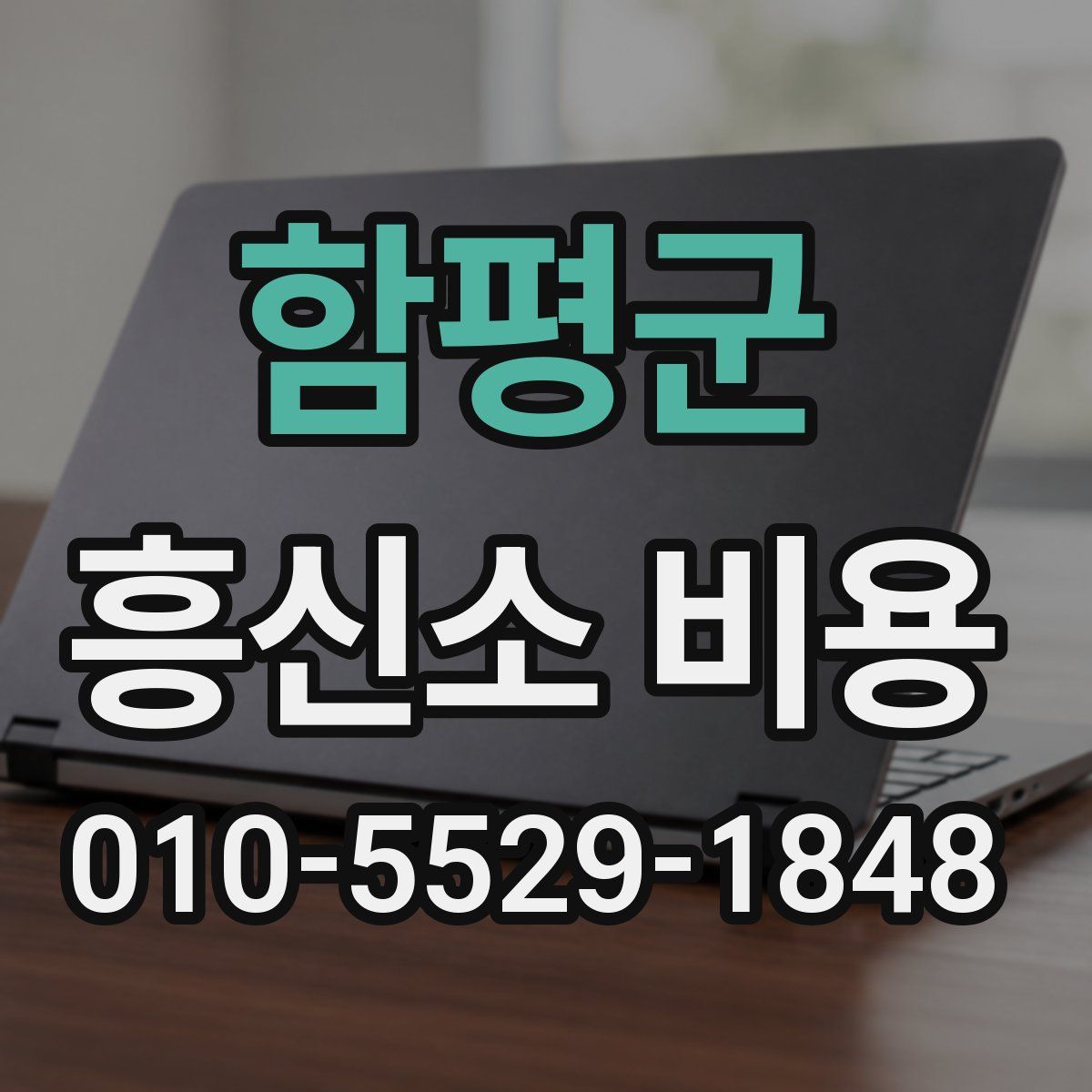 함평군 흥신소 비용