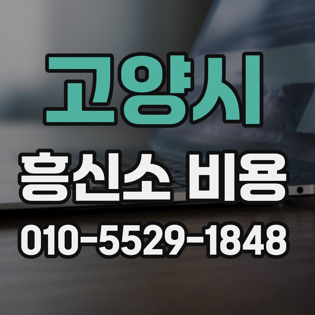고양시 흥신소 비용