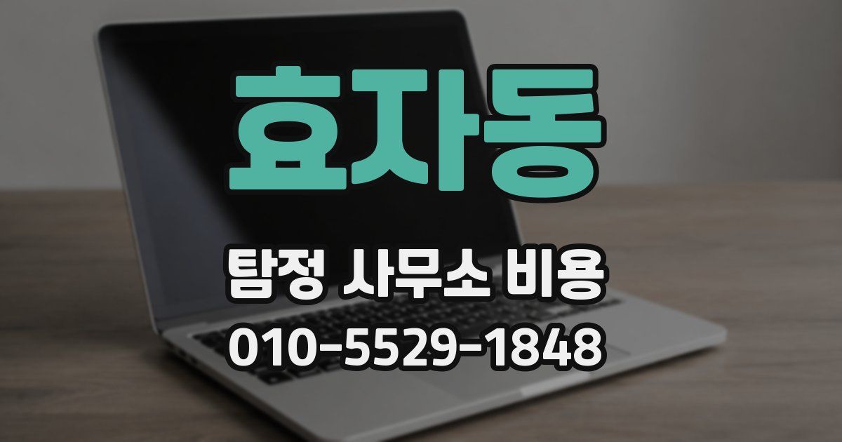 효자동 탐정 사무소 비용