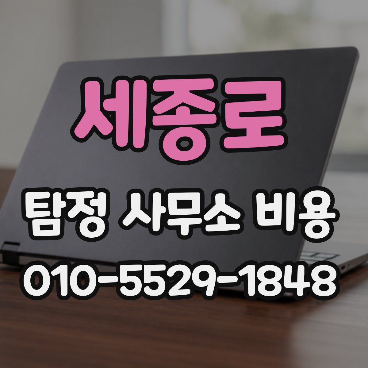 세종로 탐정 사무소 비용