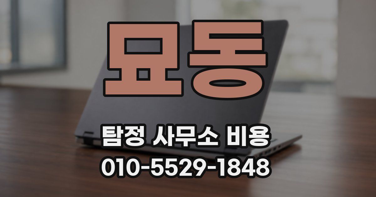 묘동 탐정 사무소 비용