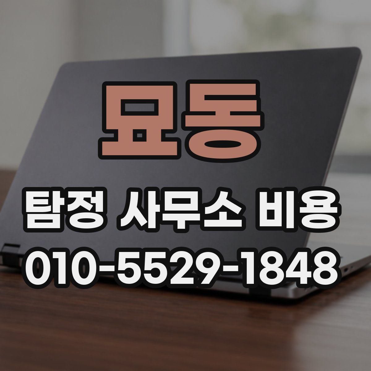 묘동 탐정 사무소 비용