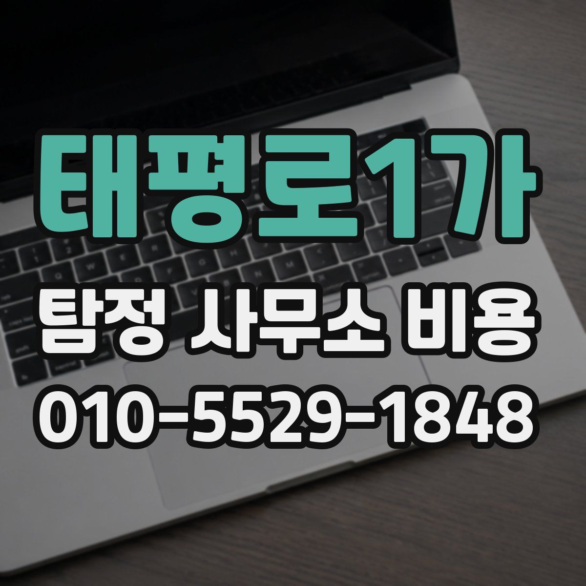 태평로1가 탐정 사무소 비용