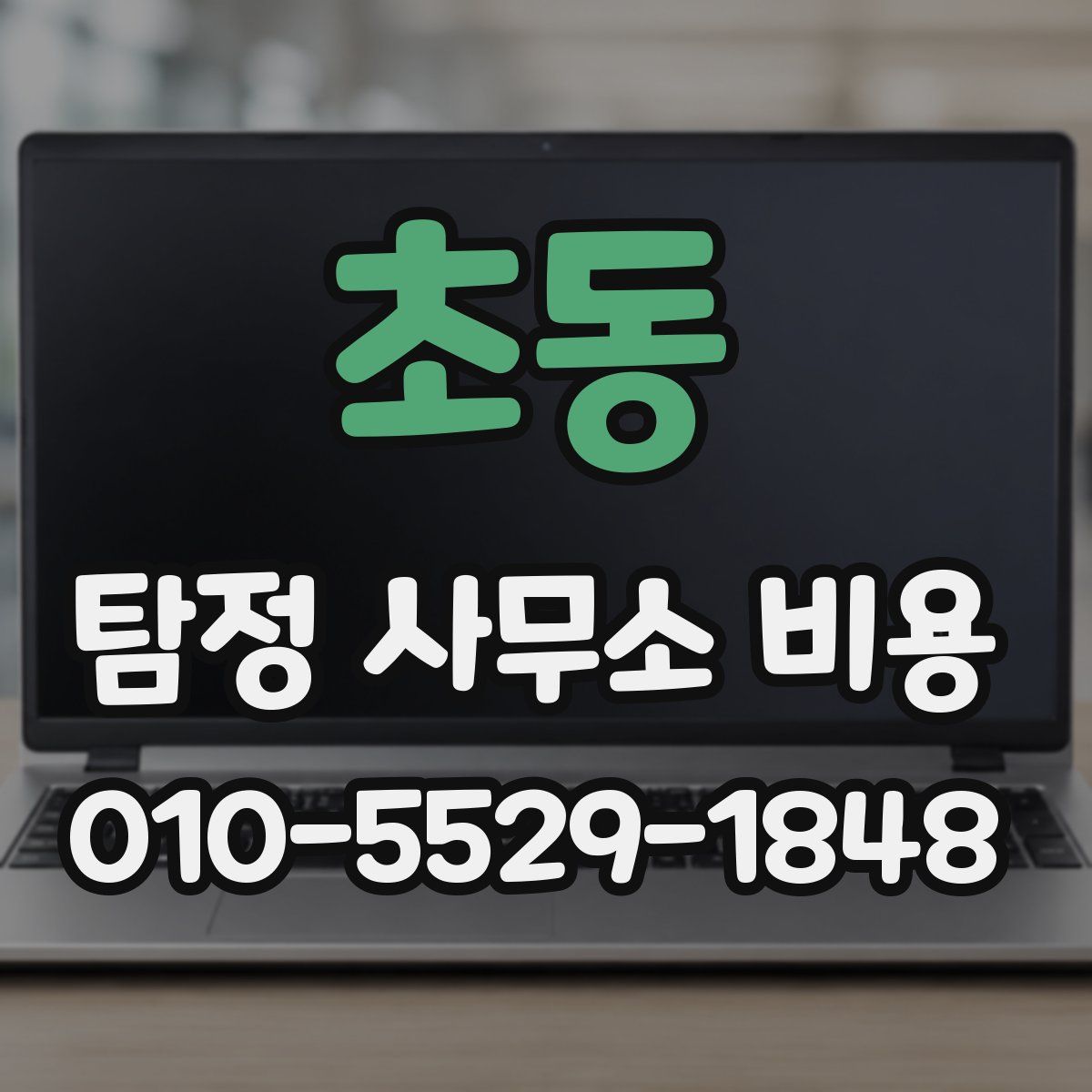 초동 탐정 사무소 비용