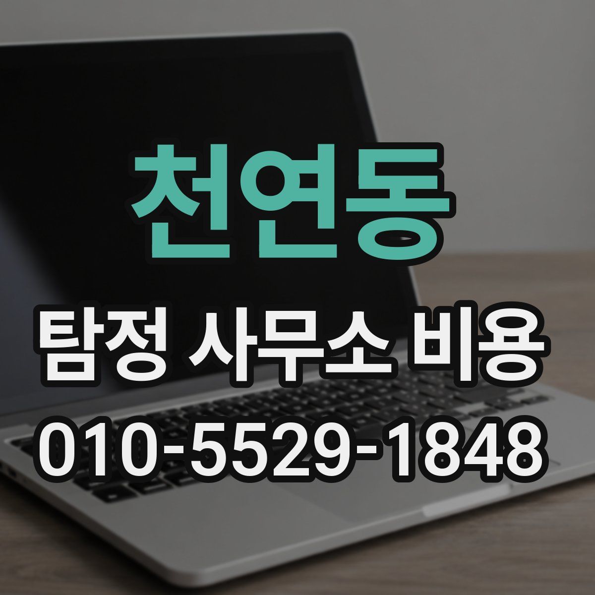 천연동 탐정 사무소 비용