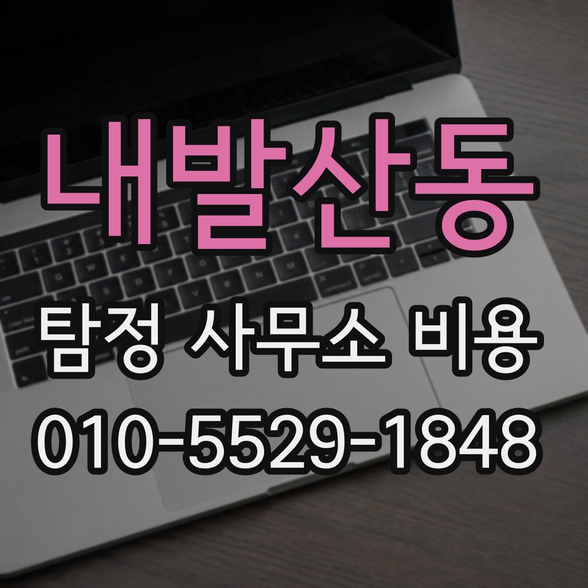 내발산동 탐정 사무소 비용