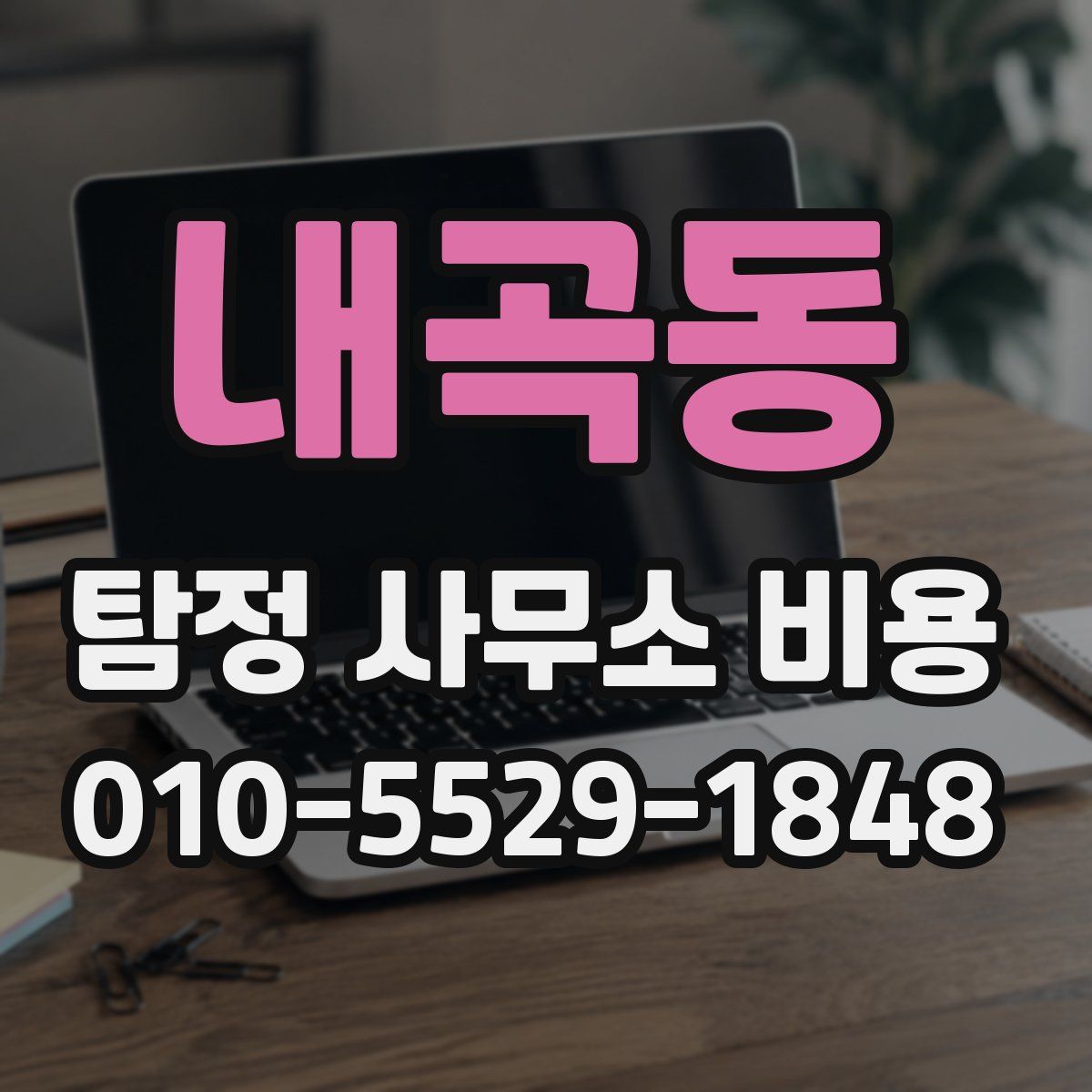내곡동 탐정 사무소 비용
