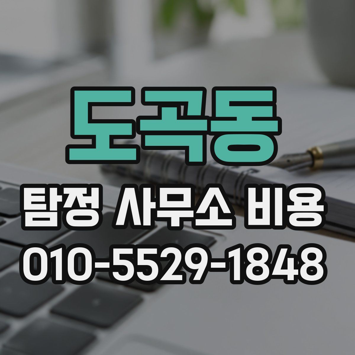 도곡동 탐정 사무소 비용