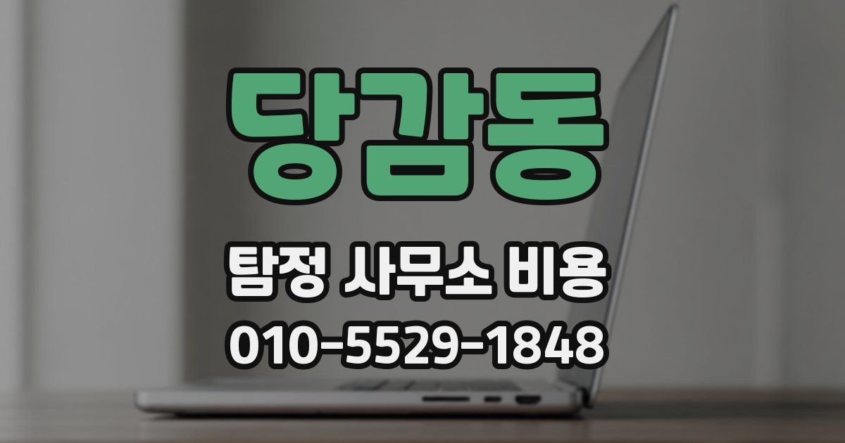 당감동 탐정 사무소 비용