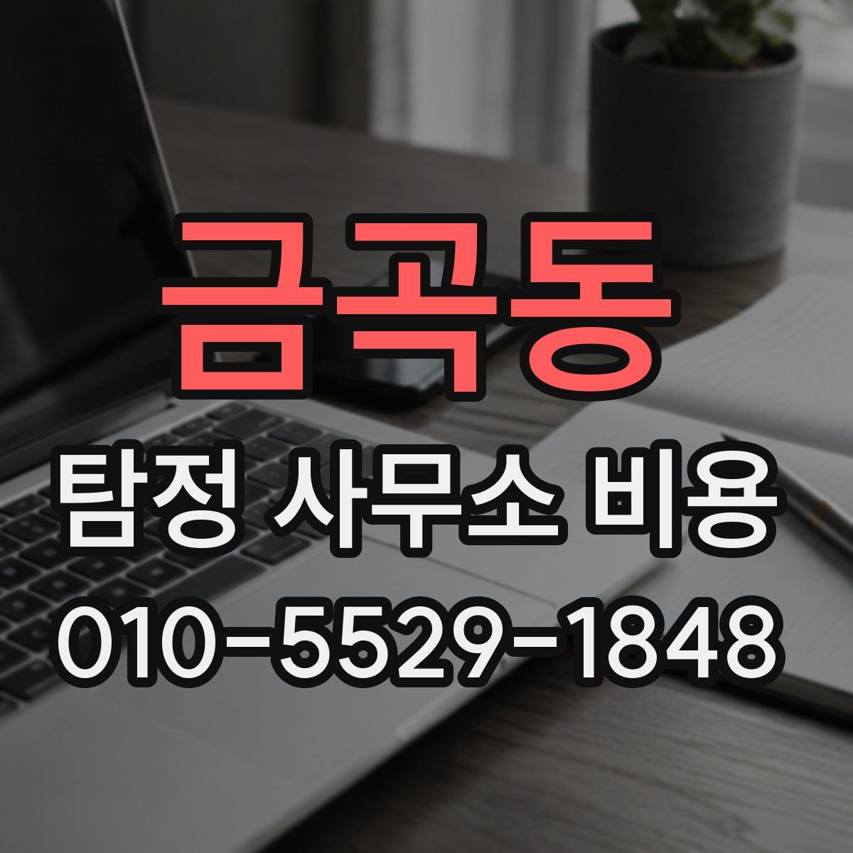금곡동 탐정 사무소 비용
