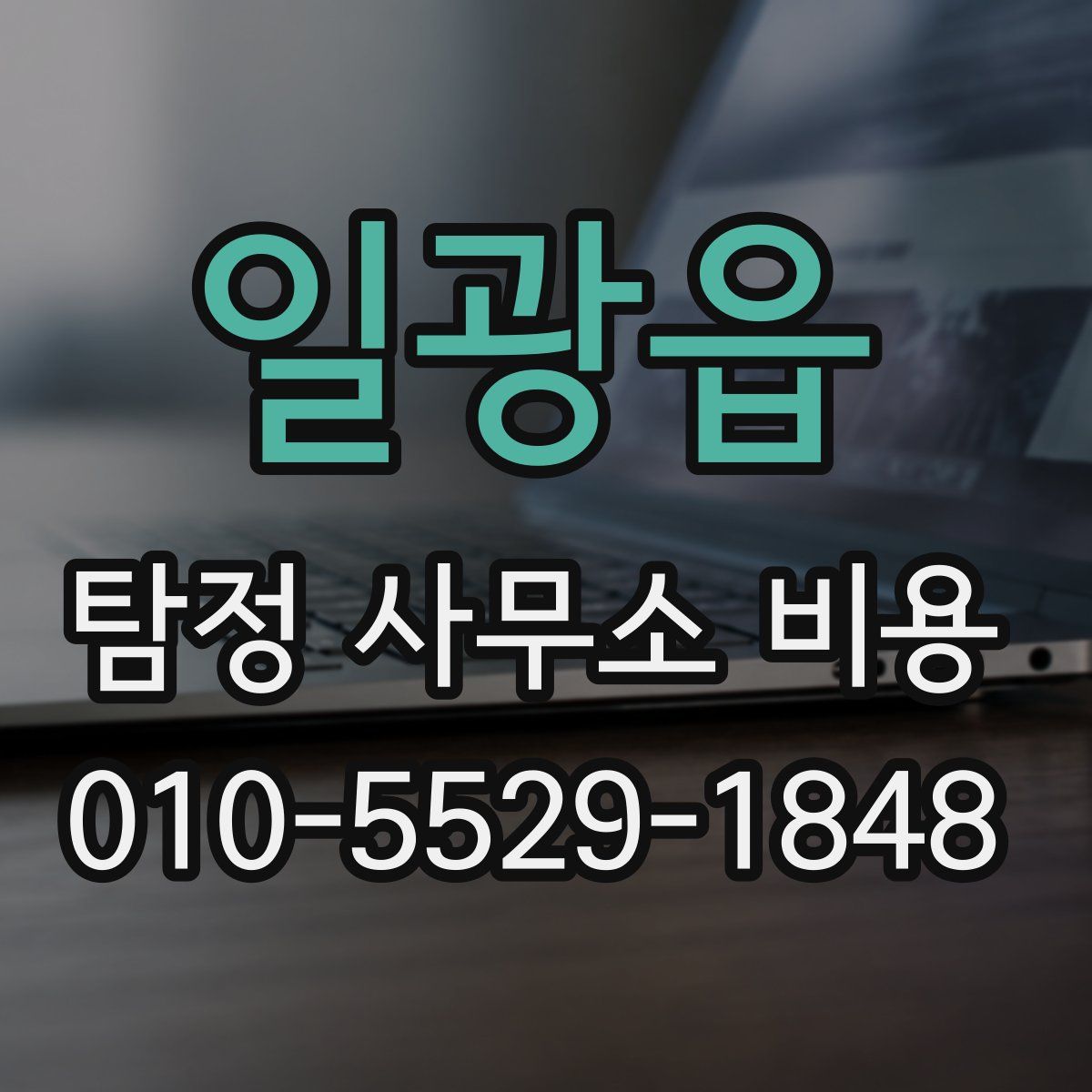 일광읍 탐정 사무소 비용
