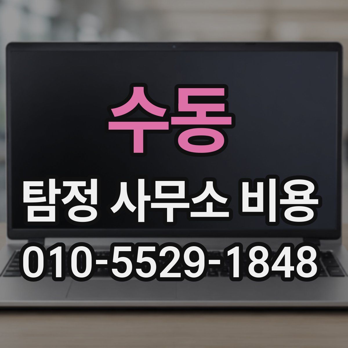 수동 탐정 사무소 비용