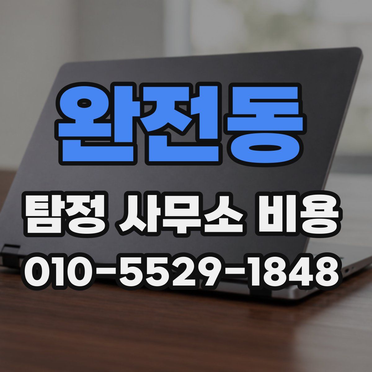 완전동 탐정 사무소 비용