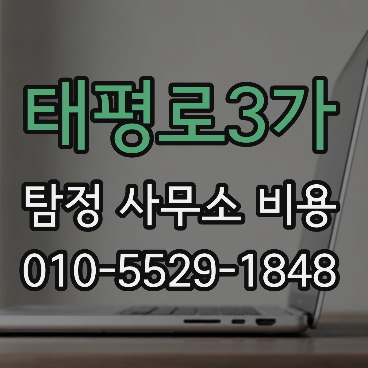 태평로3가 탐정 사무소 비용