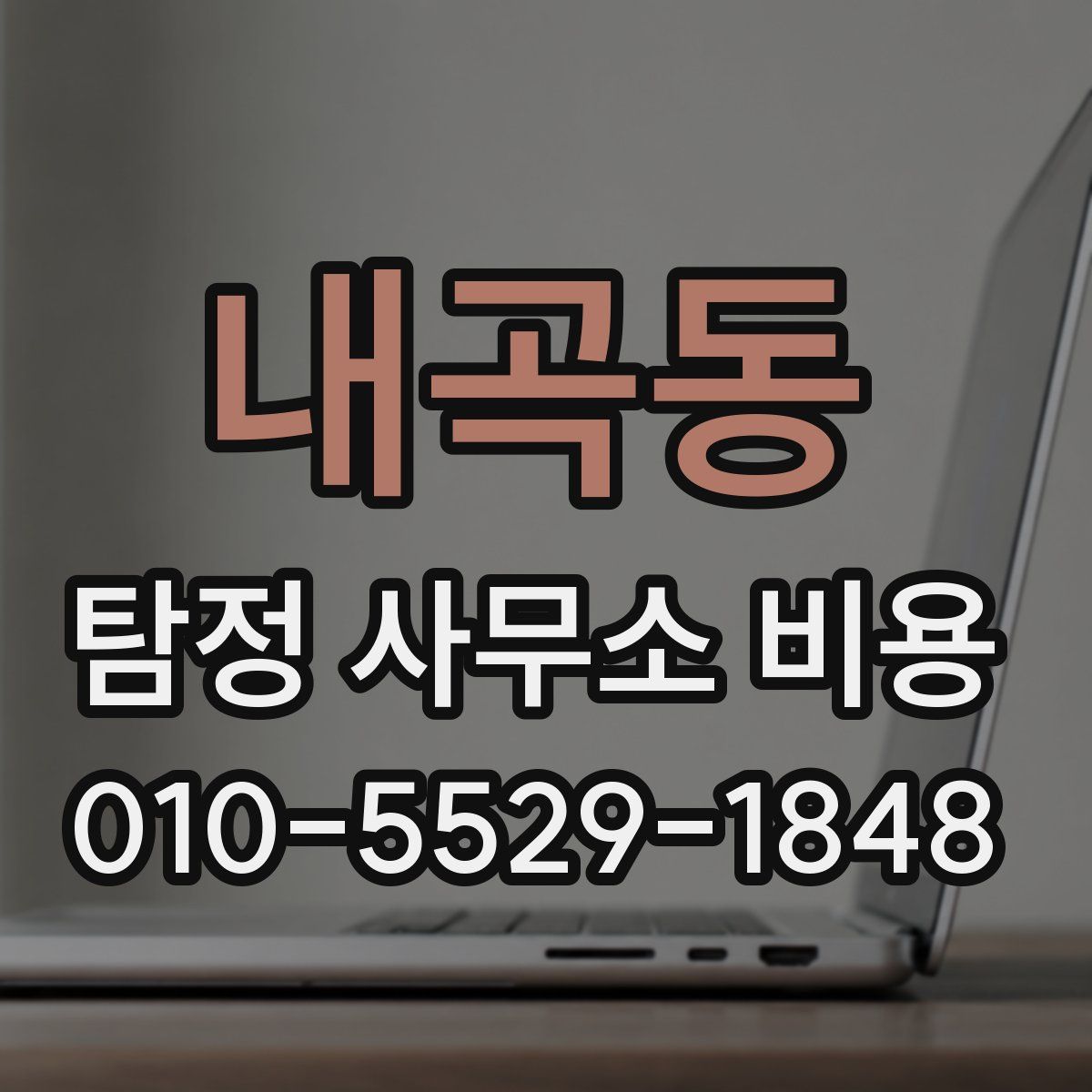 내곡동 탐정 사무소 비용