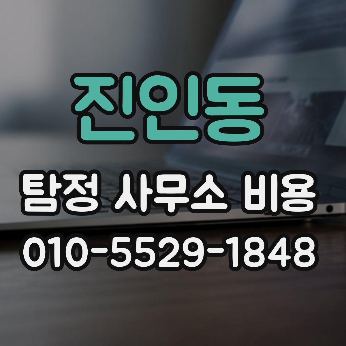 진인동 탐정 사무소 비용