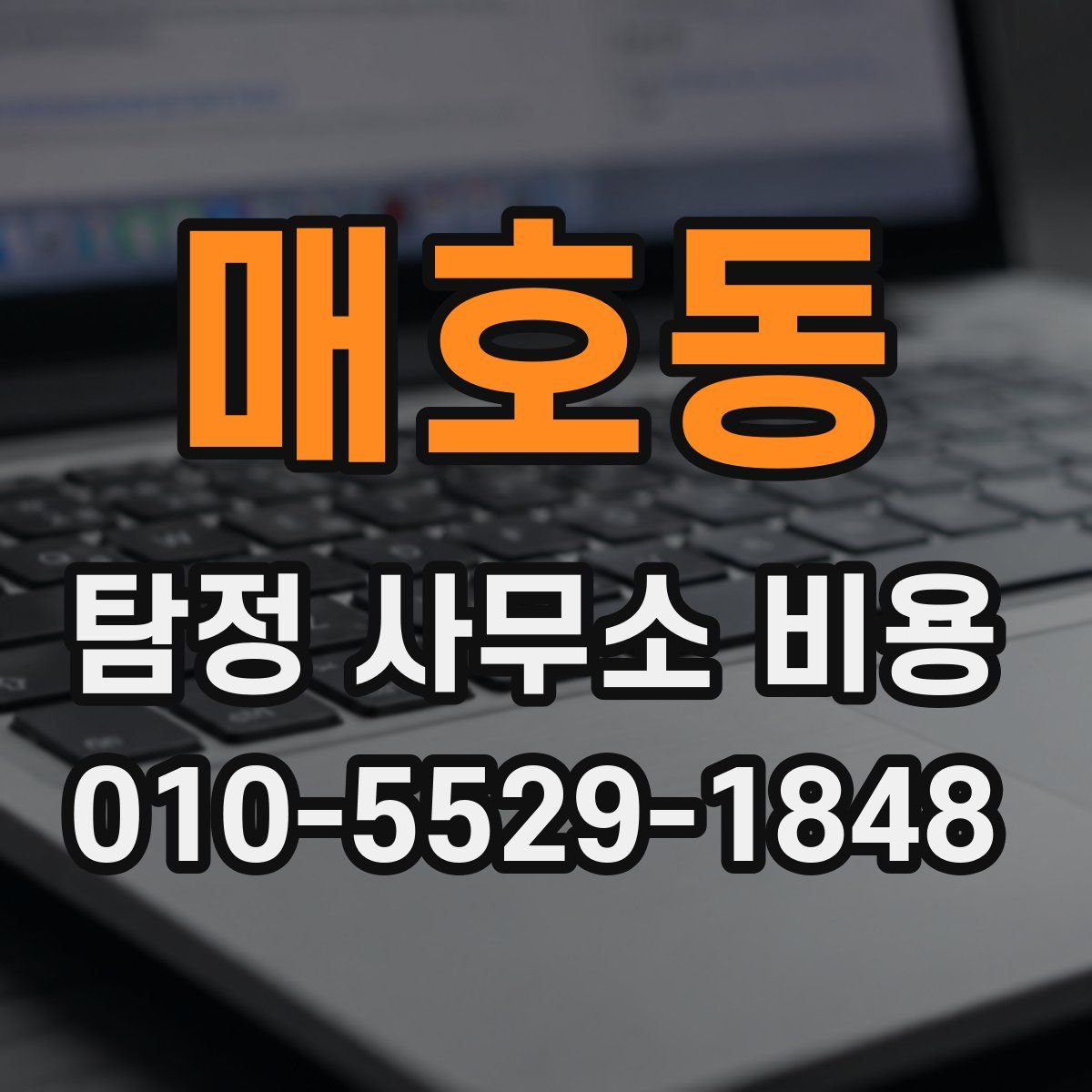 매호동 탐정 사무소 비용