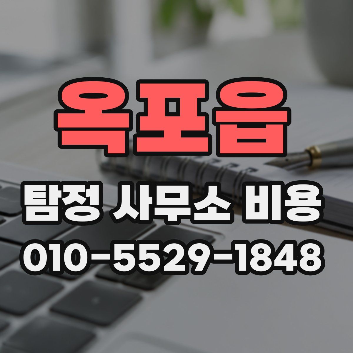 옥포읍 탐정 사무소 비용