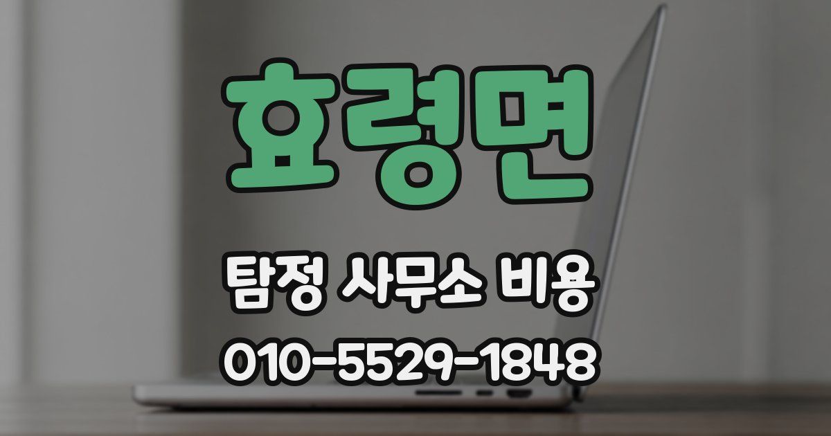 효령면 탐정 사무소 비용