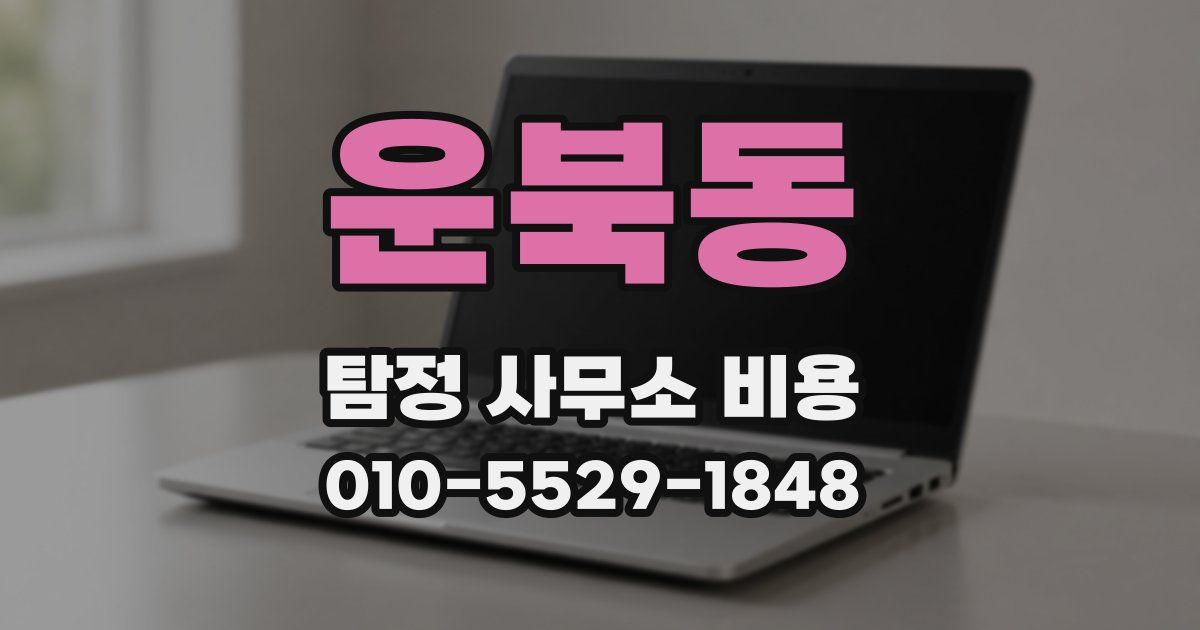 운북동 탐정 사무소 비용