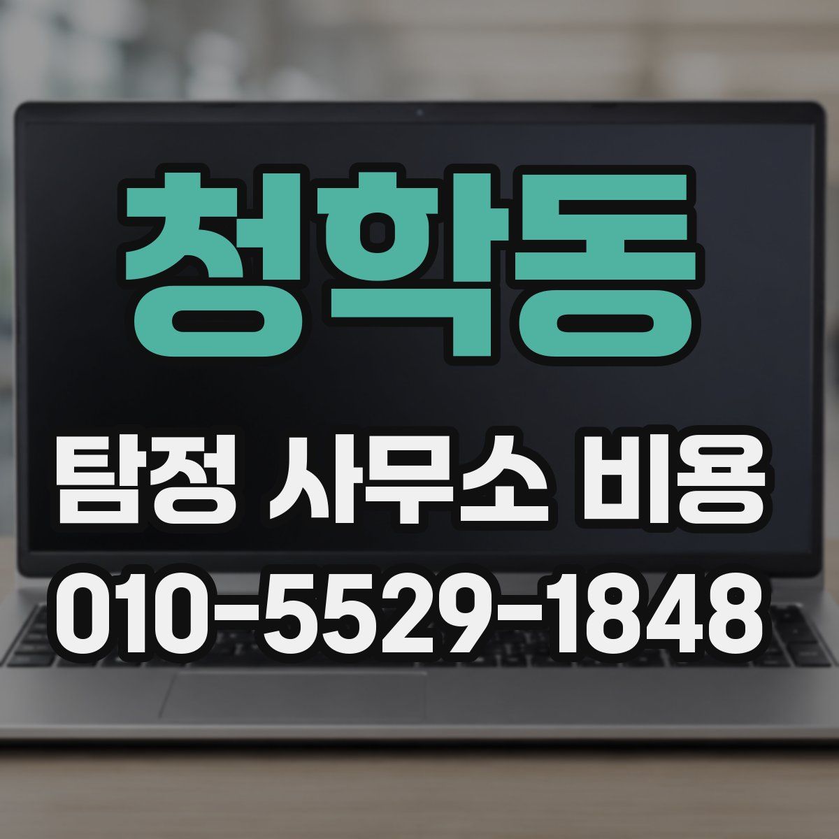 청학동 탐정 사무소 비용