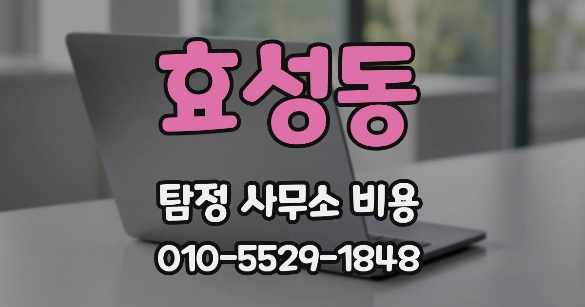 효성동 탐정 사무소 비용