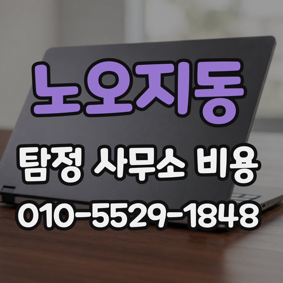 노오지동 탐정 사무소 비용