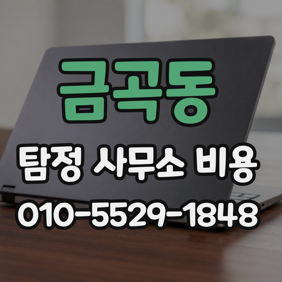 금곡동 탐정 사무소 비용