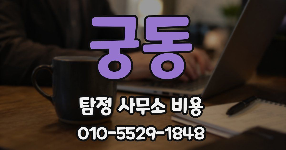 궁동 탐정 사무소 비용