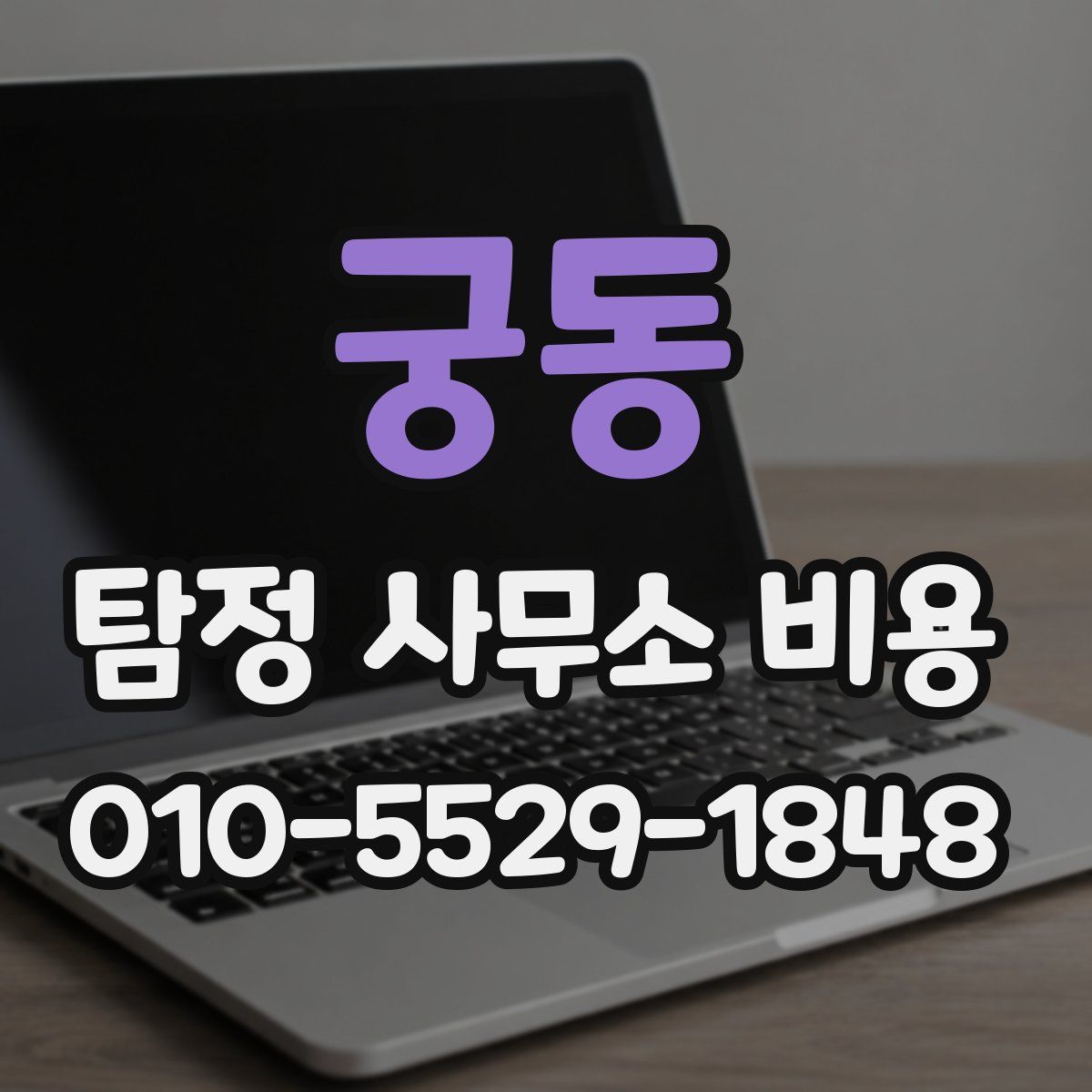 궁동 탐정 사무소 비용