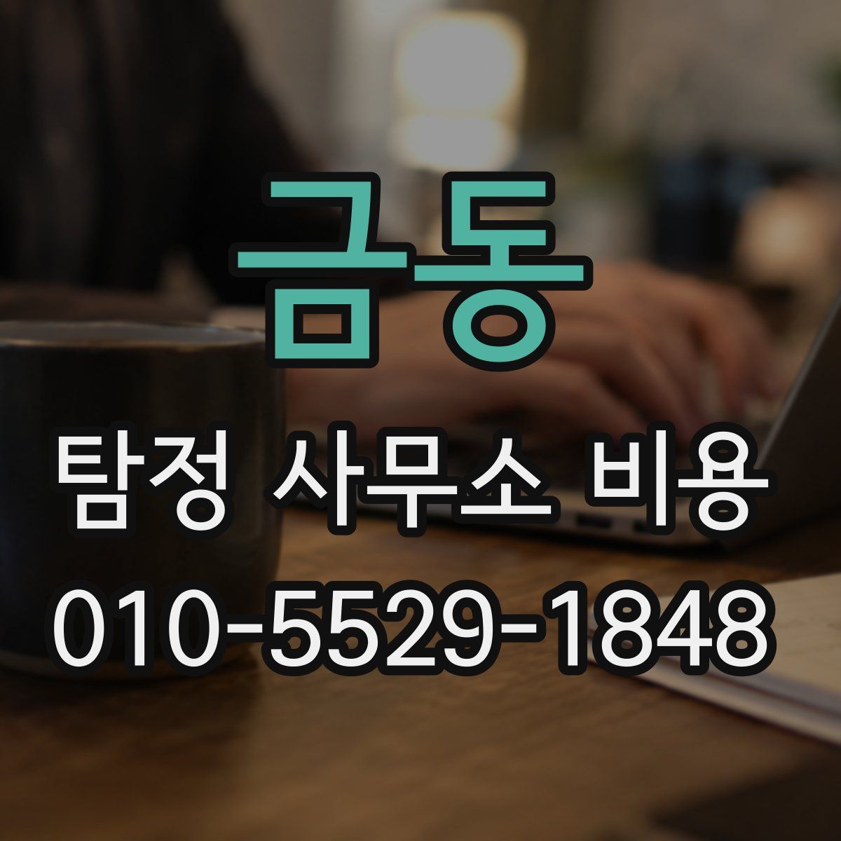 금동 탐정 사무소 비용