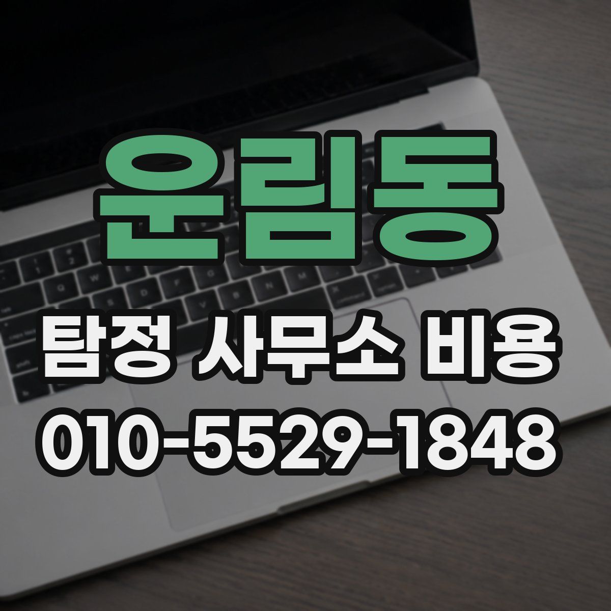 운림동 탐정 사무소 비용