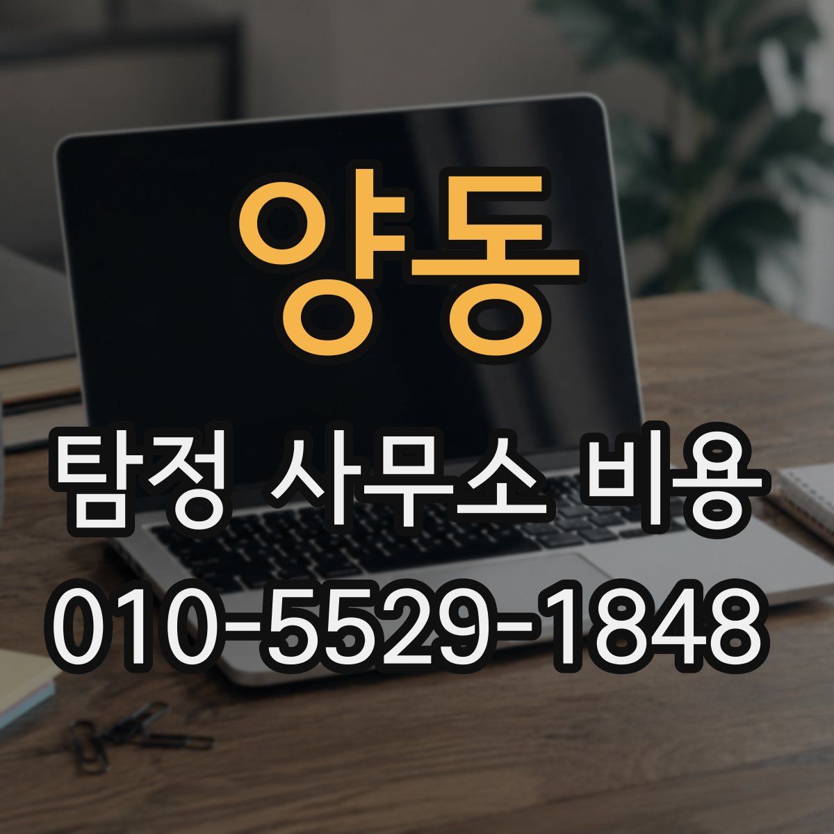 양동 탐정 사무소 비용