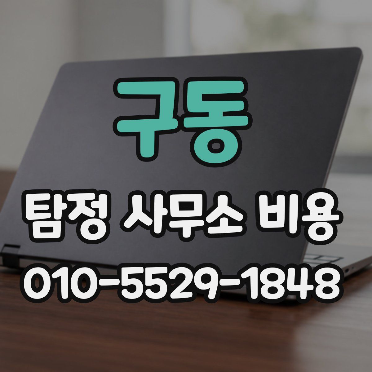 구동 탐정 사무소 비용