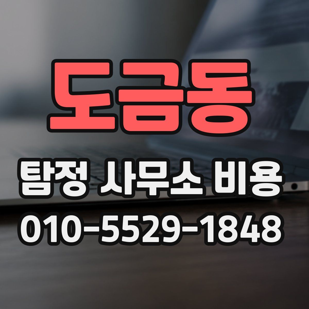 도금동 탐정 사무소 비용
