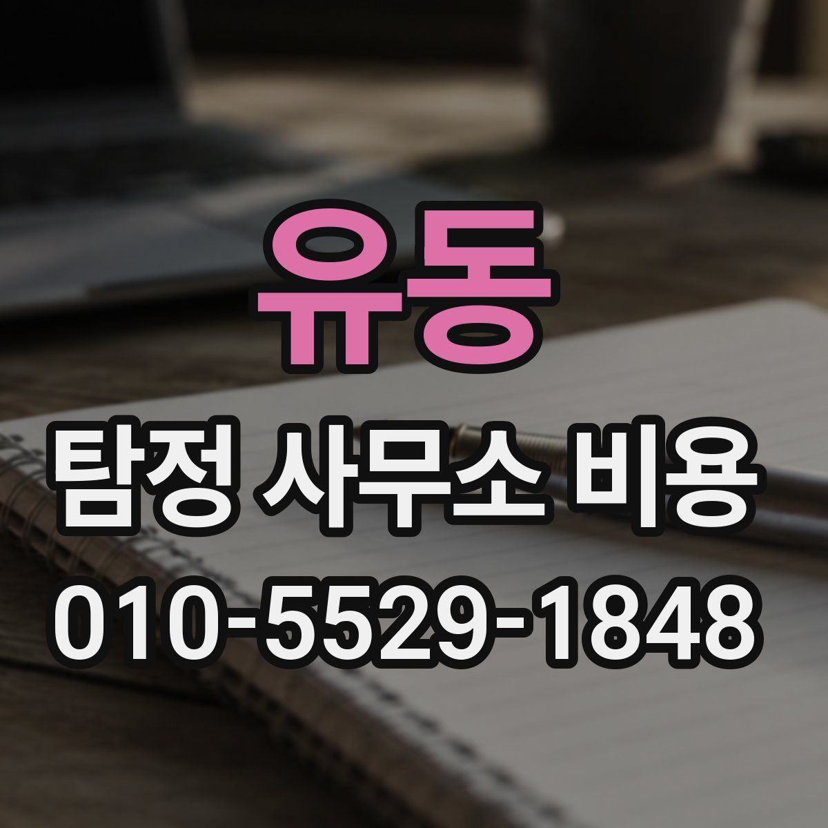 유동 탐정 사무소 비용