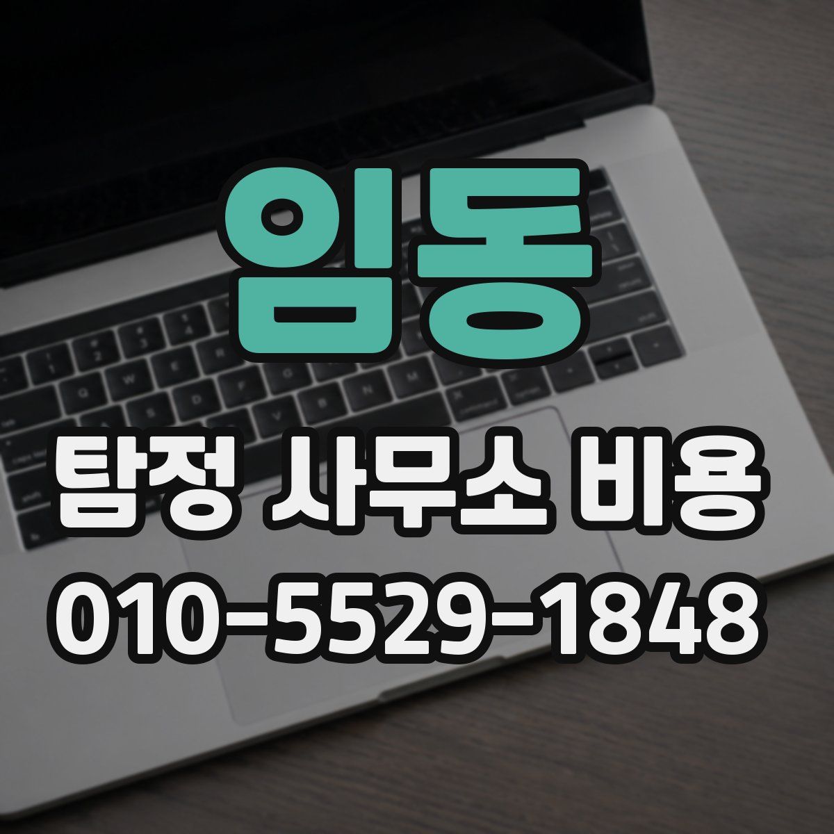 임동 탐정 사무소 비용